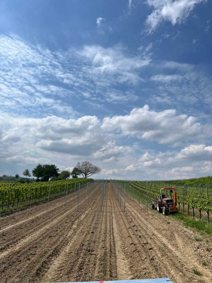 Tuniberg mit Himmel