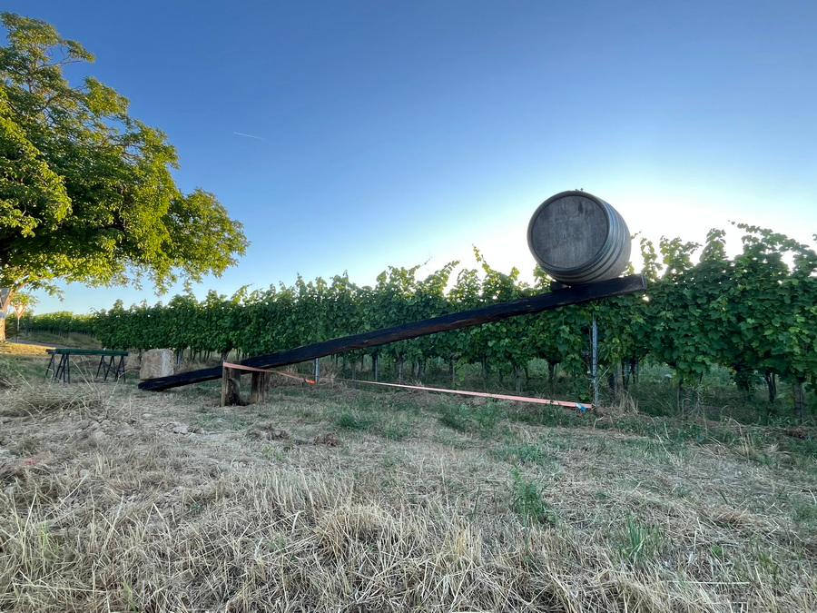 Weinwaage in den Reben